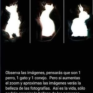 Meet your Posher, Lizeth